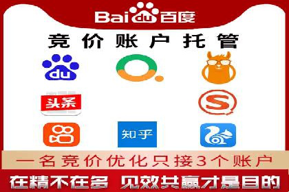 专业SEM代运营托管公司案例分析